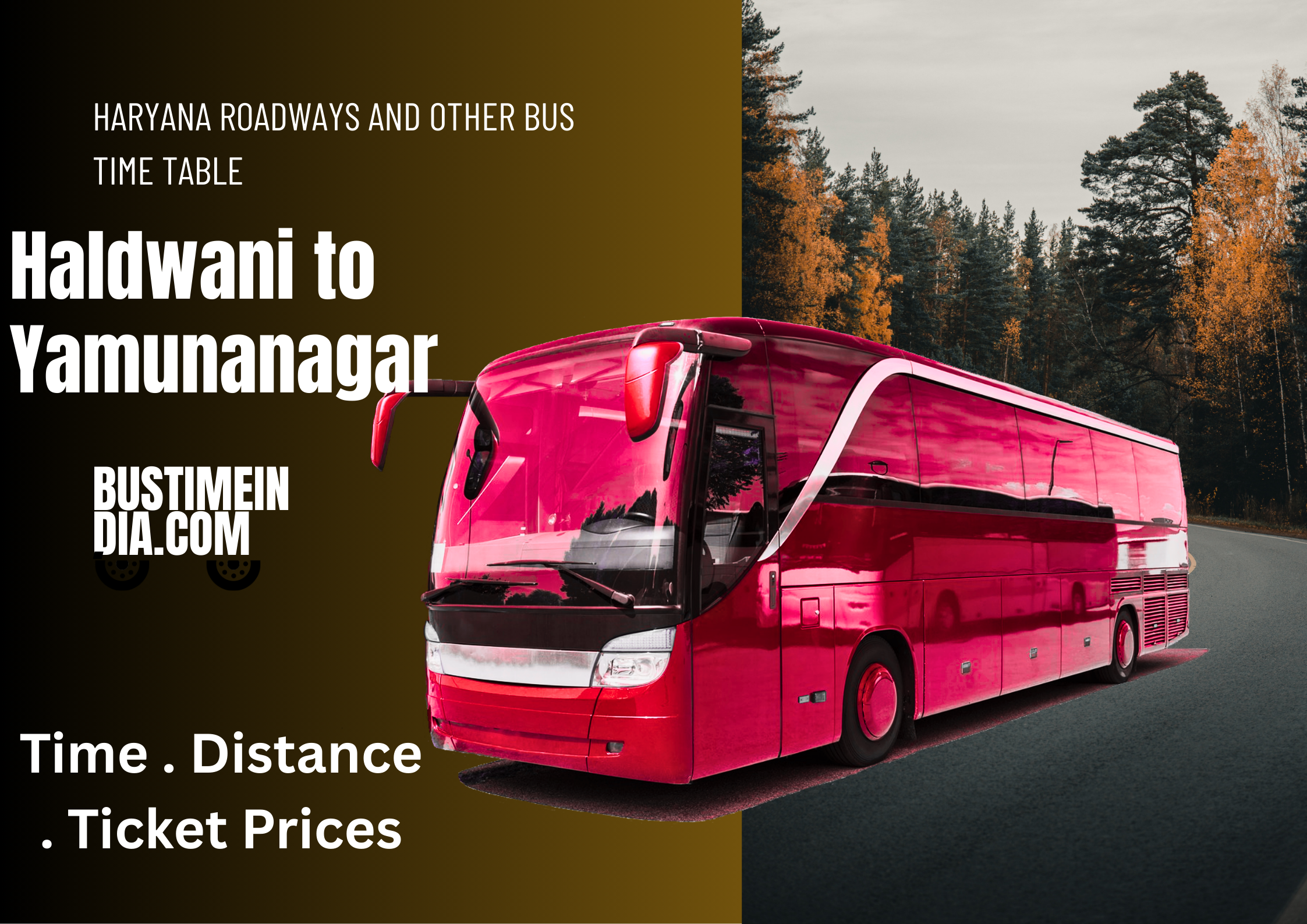 Haldwani to Yamunanagar Bus Time Table