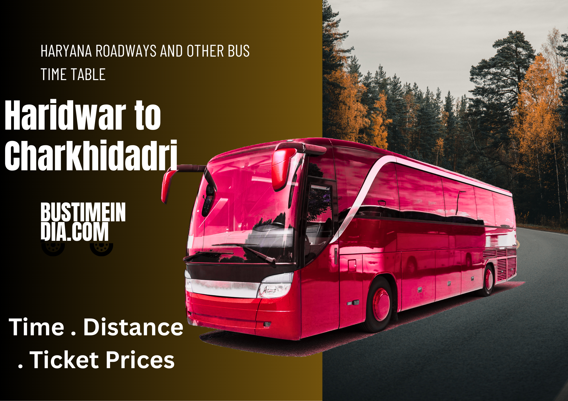 Haridwar to Charkhidadri Bus Time Table