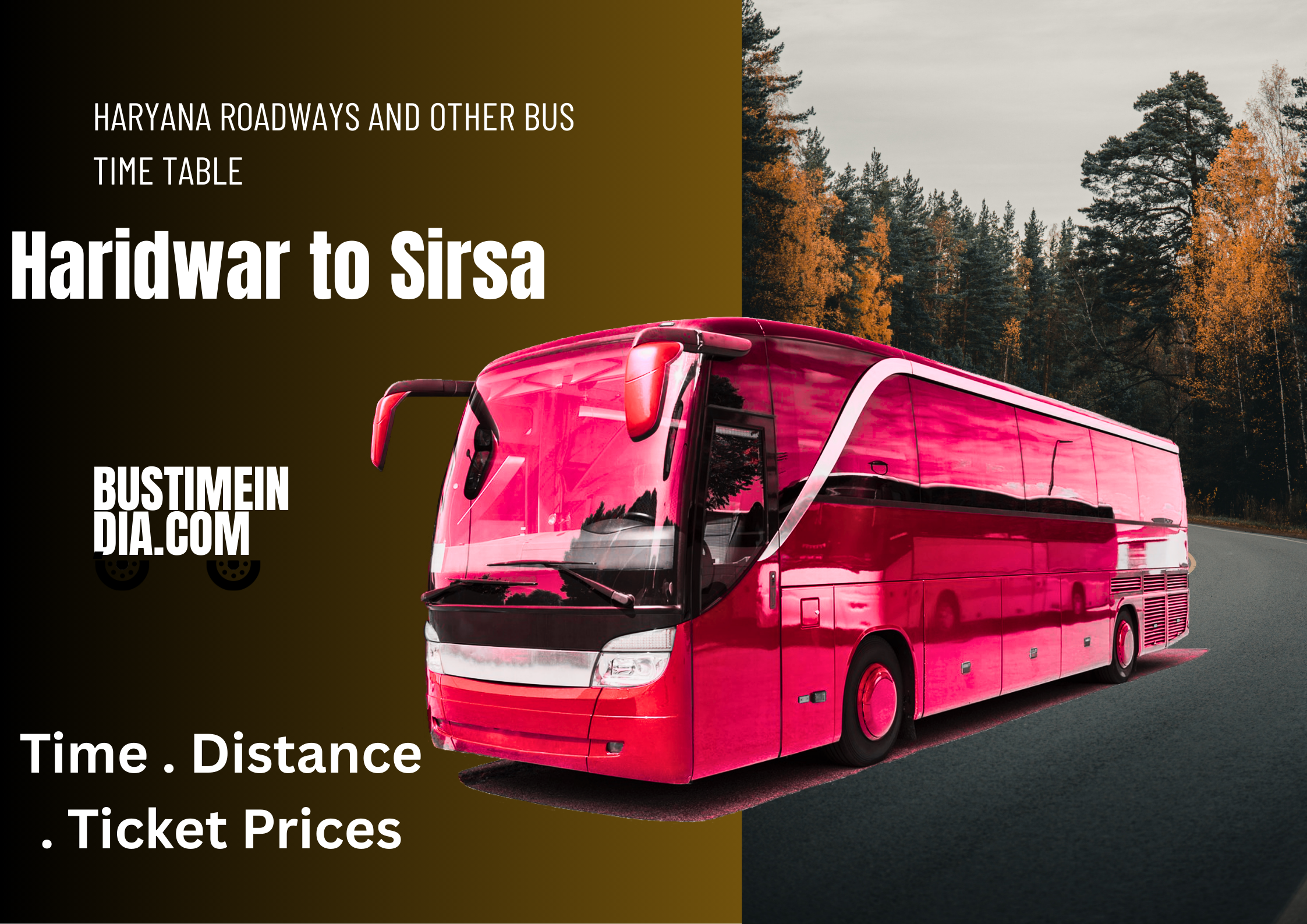 Haridwar to Sirsa Bus Time Table