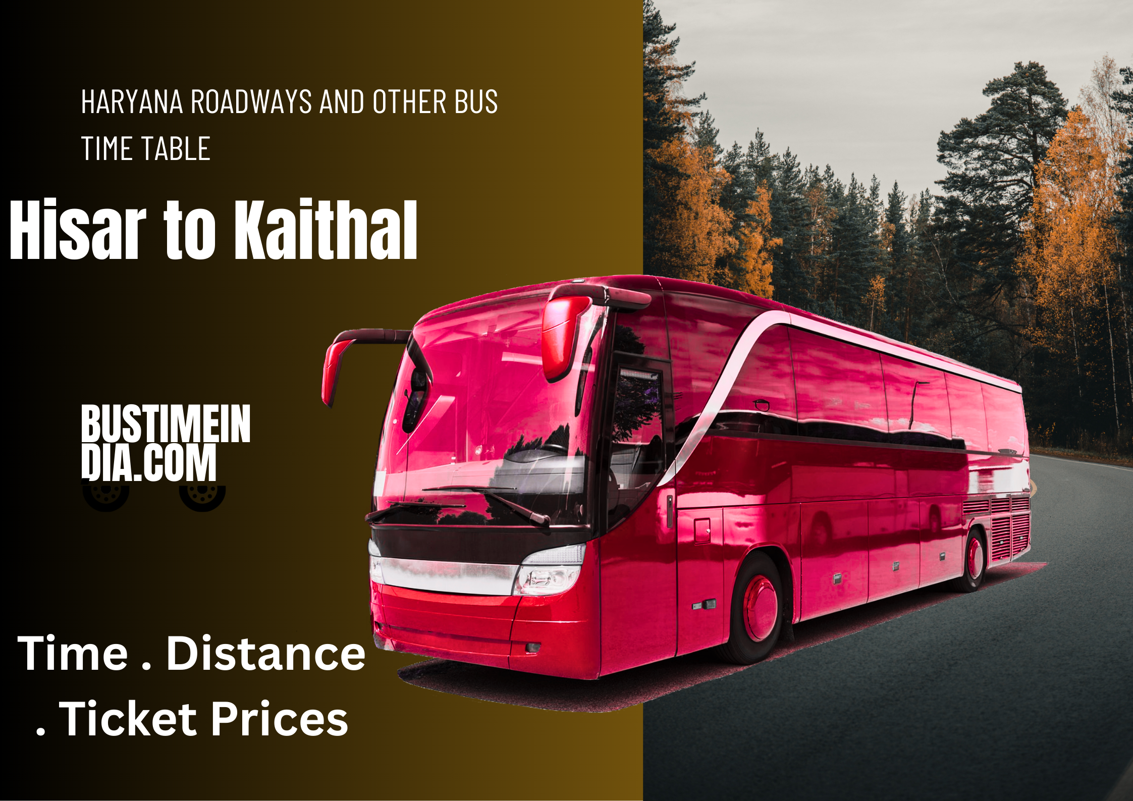 Hisar to Kaithal Bus Time Table