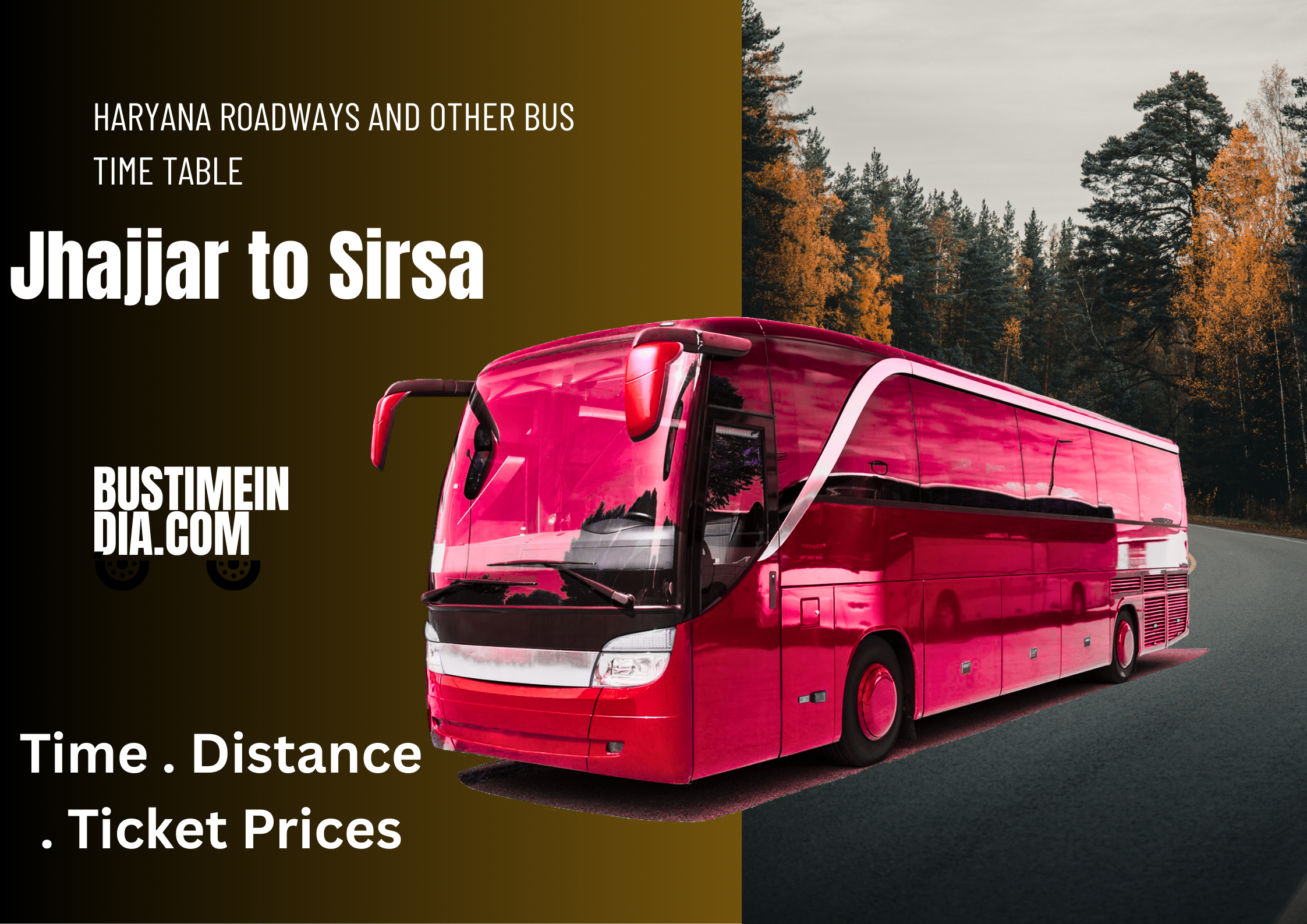 Jhajjar to Sirsa Bus Time Table