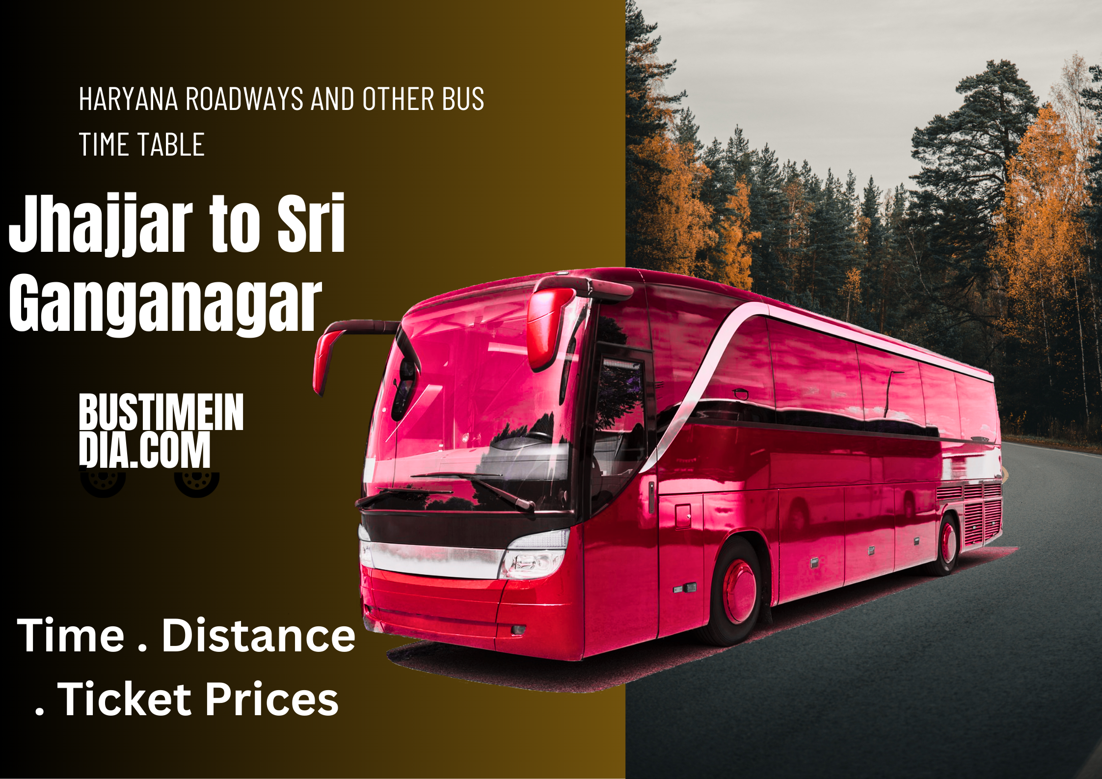 Jhajjar to Sri Ganganagar Bus Time Table